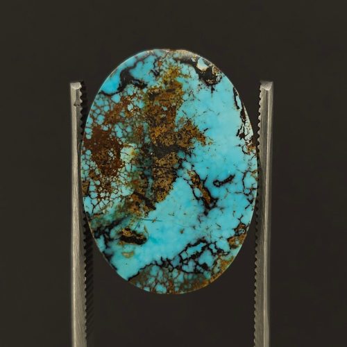Turquoise Neyshabur Gemstone