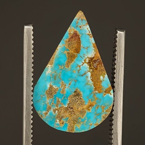 Turquoise Neyshabur Gemstone