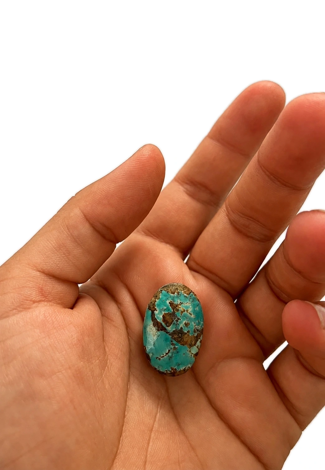 NEYFI 1003 Neyshabur turquoise, hand-scale view