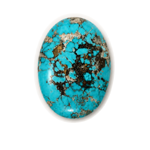 NEYFI 1005 — Oval