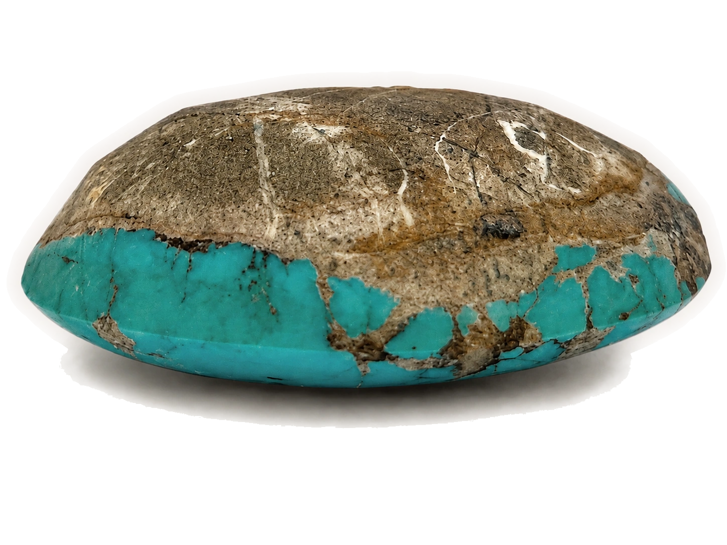 NEYFI 1005 natural Neyshabur turquoise oval low-dome cabochon, profile view