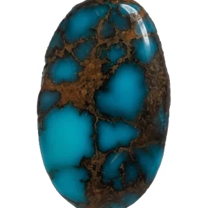 Front view of NEYFI 1008 oval Neyshabur turquoise cabochon on a white background.